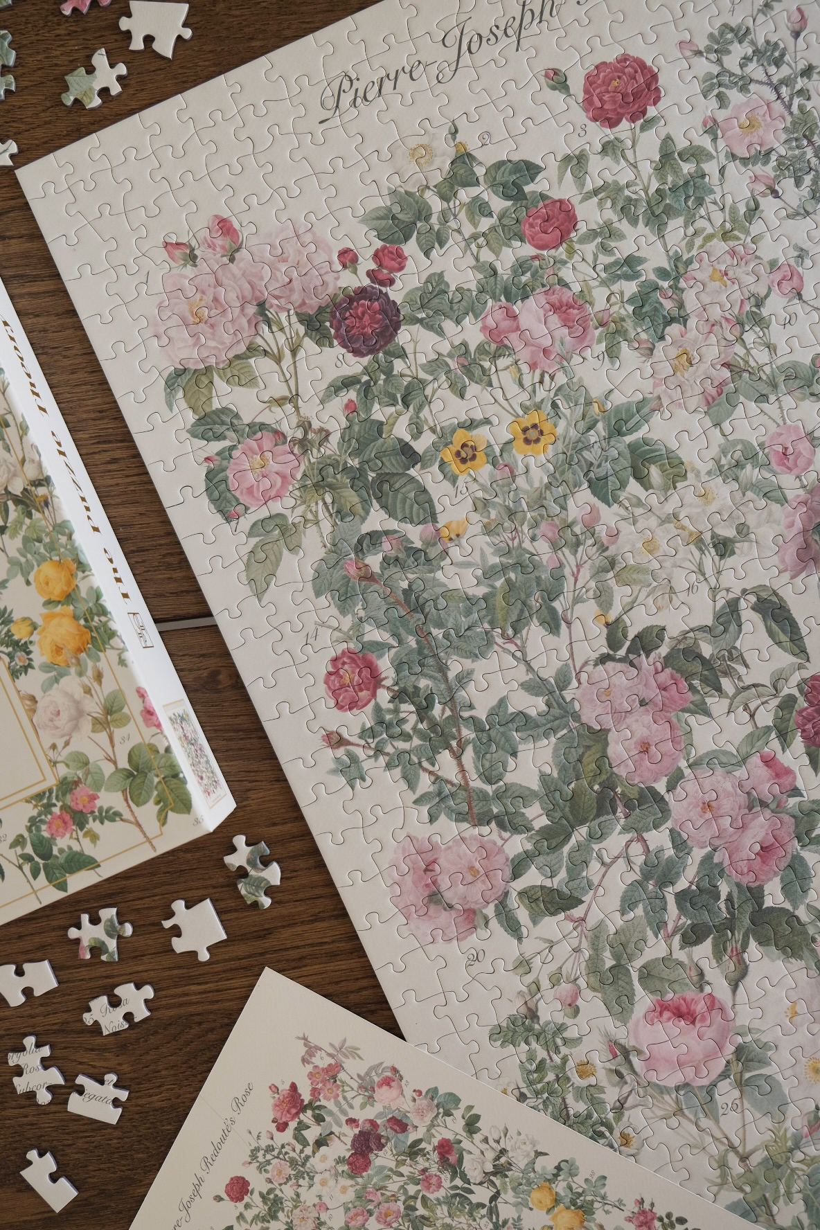 The Roses - 1000 Piece Puzzle