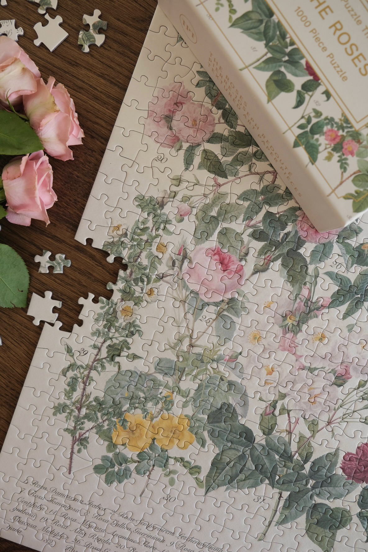 The Roses - 1000 Piece Puzzle